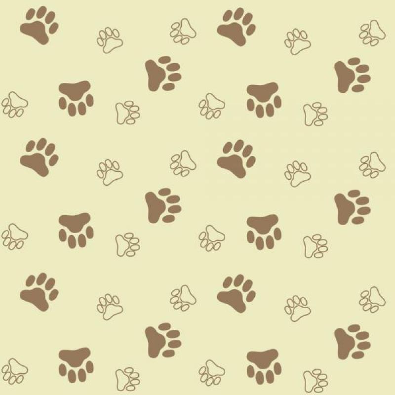 Papel de Parede Kids Patinhas Cachorro