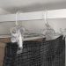10 Cabides de Presilha Para Saia Loja Plástico Transparente
