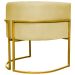 Kit 2 Poltronas Decorativa Para Sala Recepção Manicure Consultório Luna Suede Amarelo  Base de Ferro Dourado
