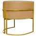 Kit 2 Poltronas Decorativa Para Sala Recepção Manicure Consultório Luna Suede Mostarda Base de Ferro Dourado