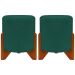 Kit 2 Puff Decorativo Redondo Confortável Para Sala Penteadeira Eloah Suede Verde