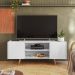Rack para TV até "55 River 2 Portas - Colibri - BRANCO FOSCO