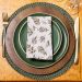 Kit com 4 Guardanapos Home Estampado Azeitona