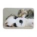 Tapete de Entrada Grand Pet Cochilo Bege 40cm x 60cm Attuale Corttex