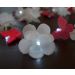 Cordão Luminoso Luz de Fada Flores e Borboletas 110v