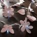Cordão Luminoso Luz de Fada Mix Rosa 110v