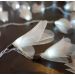 Cordão Luminoso Luz de Fada Organza Champagne 110v