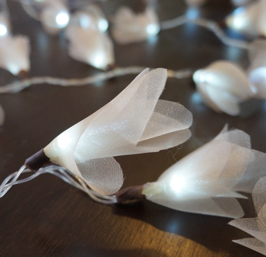 Cordão Luminoso Luz de Fada Organza Champagne 110v