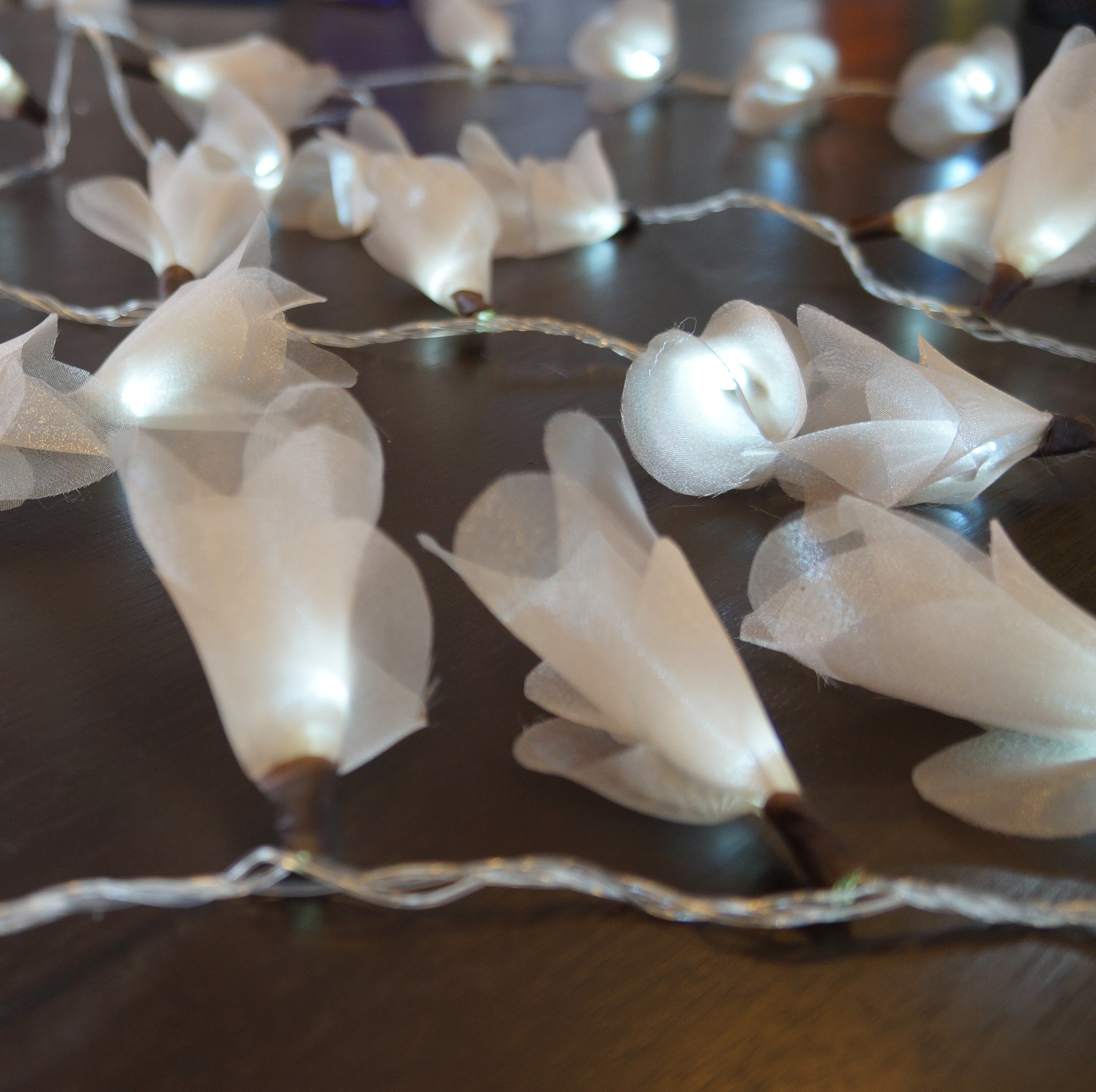 Cordão Luminoso Luz de Fada Organza Champagne 110v