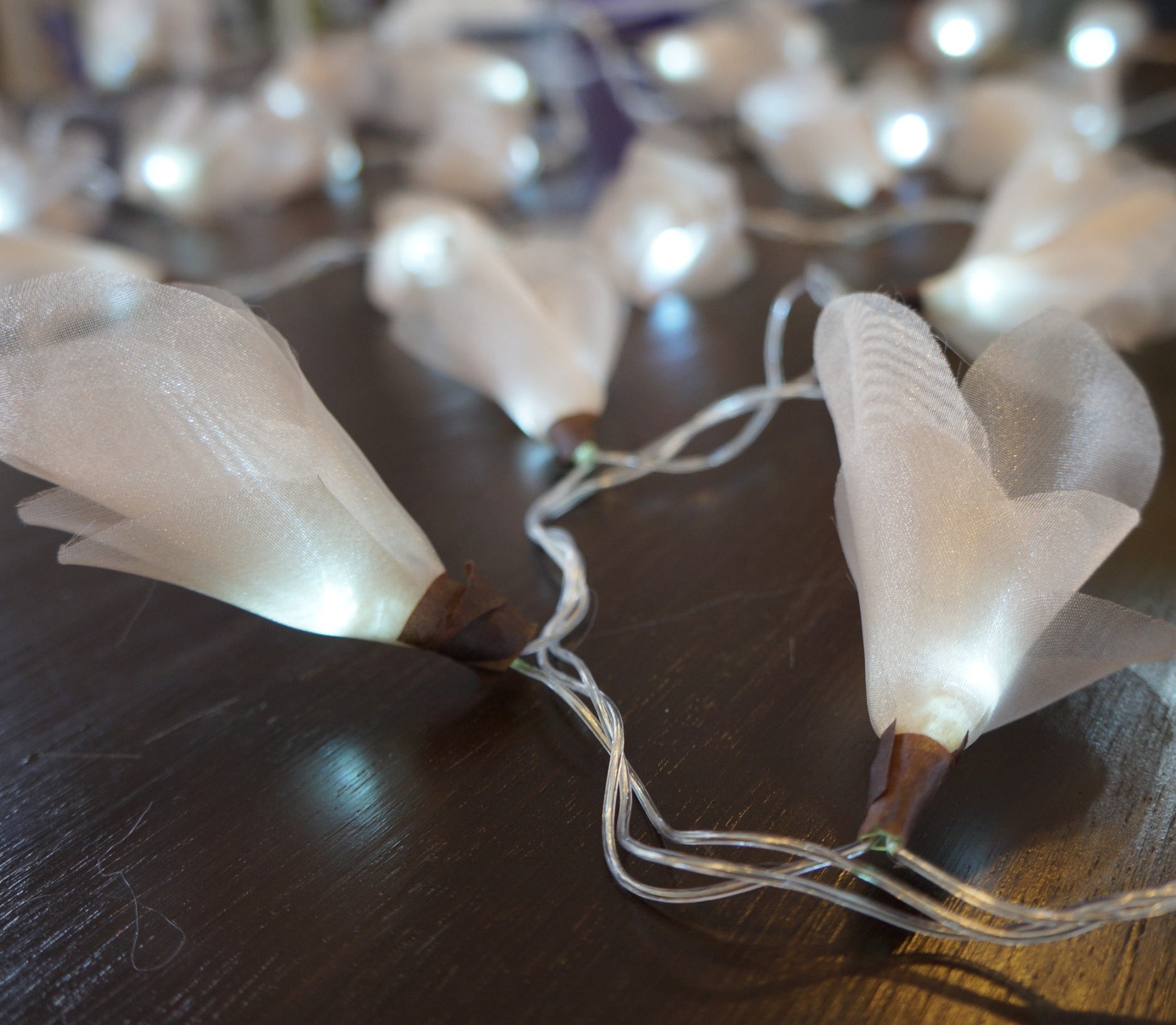 Cordão Luminoso Luz de Fada Organza Champagne