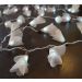 Cordão Luminoso Luz de Fada Organza Champagne