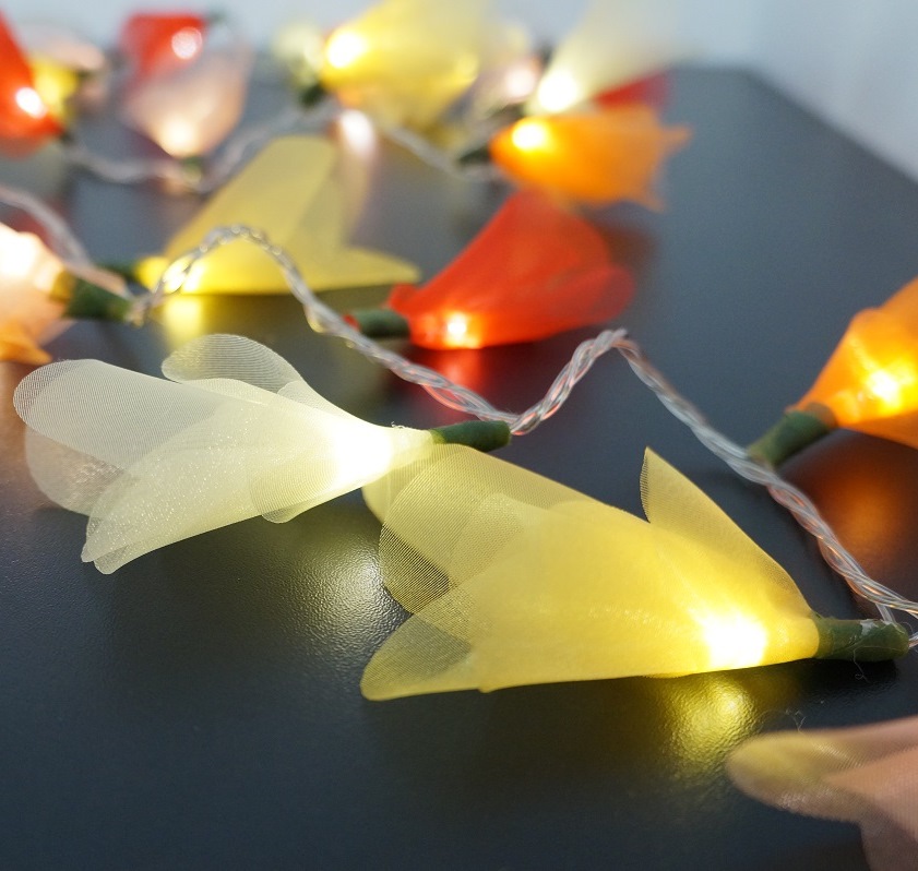 Cordão Luminoso Luz de Fada Organza Colors 110v