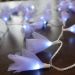 Cordão Luminoso Luz de Fada Organza Lilás 110v