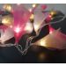 Cordão Luminoso Luz de Fada Organza Mix 110v