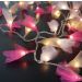 Cordão Luminoso Luz de Fada Organza Mix 110v
