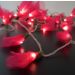 Cordão Luminoso Luz de Fada Organza Pink 110v