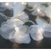 Cordão Luminoso Luz de Fada Organza Pompom Branco 110v