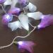 Cordão Luminoso Luz de Fada Organza Roxa e Branca 110v
