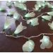 Cordão Luminoso Luz de Fada Organza Verde Claro 110v