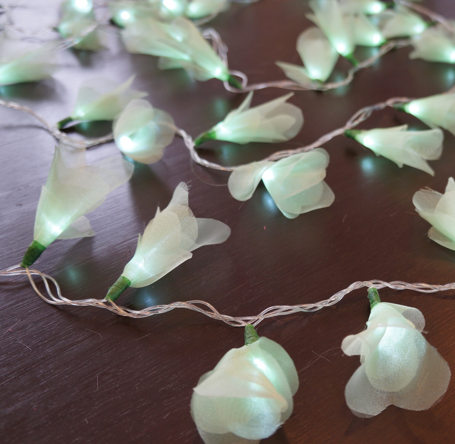 Cordão Luminoso Luz de Fada Organza Verde Claro 110v