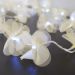Cordão Luminoso Luz de Fada Pompom Amarelo Bebê 110v