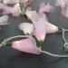 Cordão de Luz - Luz de Fada Flor Organza 2 Tons de Rosa