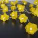 Cordão de Luz - Luz de Fada Florzinha Amarela 110v
