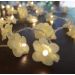 Cordão de Luz - Luz de Fada Florzinha Bege 110v
