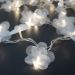 Cordão de Luz - Luz de Fada Florzinha Organza Branca à Pilha 20 Leds