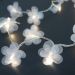Cordão de Luz - Luz de Fada Florzinha Organza Branca à Pilha 20 Leds