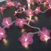 Cordão de Luz - Luz de Fada Florzinha Organza Pink à Pilha 20 Leds