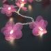 Cordão de Luz - Luz de Fada Florzinha Organza Pink à Pilha 20 Leds
