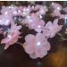 Fio de Luz Cordão de LED Luz de Fada Flor Rosa Bivolt