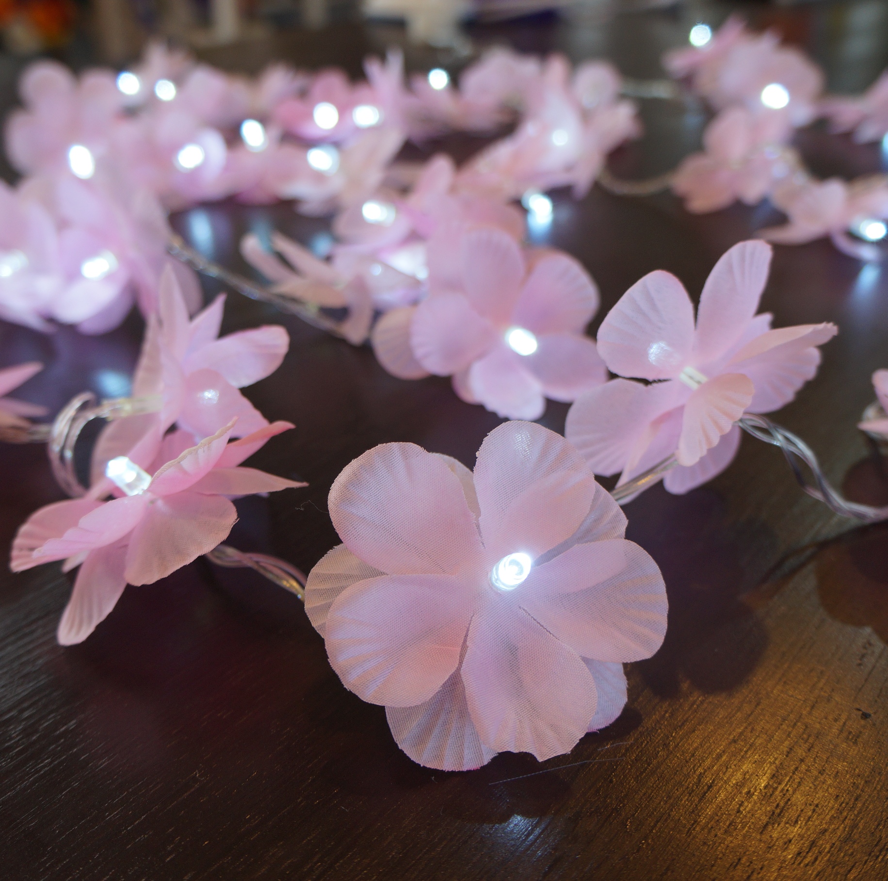 Fio de Luz Cordão de LED Luz de Fada Flor Rosa Bivolt