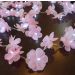 Fio de Luz Cordão de LED Luz de Fada Flor Rosa Bivolt