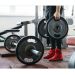 Suporte de Anilhas para Parede Expositor de Academia 50 Kg Capacidade Ferro