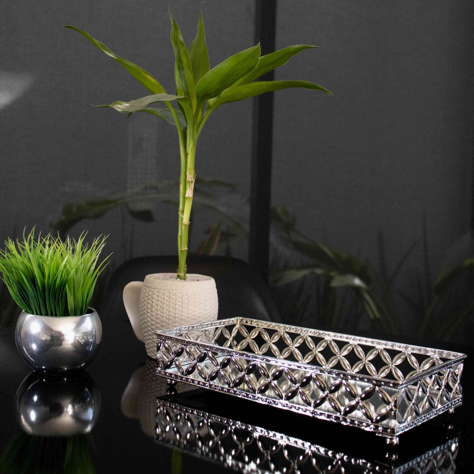 Bandeja Decorativa Retangular em Metal Prata com Espelho 5x24 cm - D'Rossi