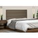 Cabeceira Painel La Italiana Para Cama Box Casal 140 cm Suede Caramelo - D'Rossi