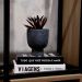 Cachepot Decorativo em Cerâmica Flocos Preto 14x11 cm - D'Rossi