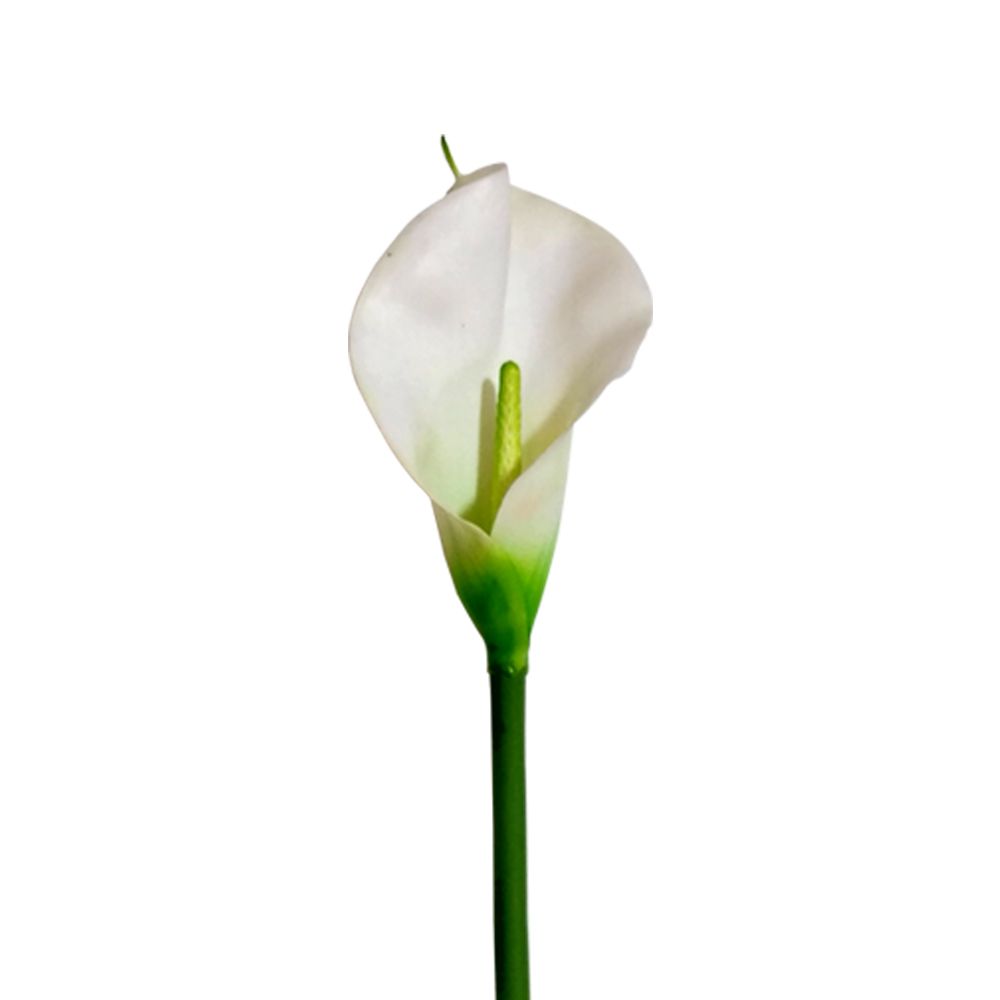 Flor Copo de Leite Artificial Branco 70 cm - D'Rossi