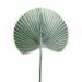 Folha Artificial de Latânia Azul 83 cm - D'Rossi