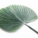 Folha Artificial de Latânia Azul 83 cm - D'Rossi