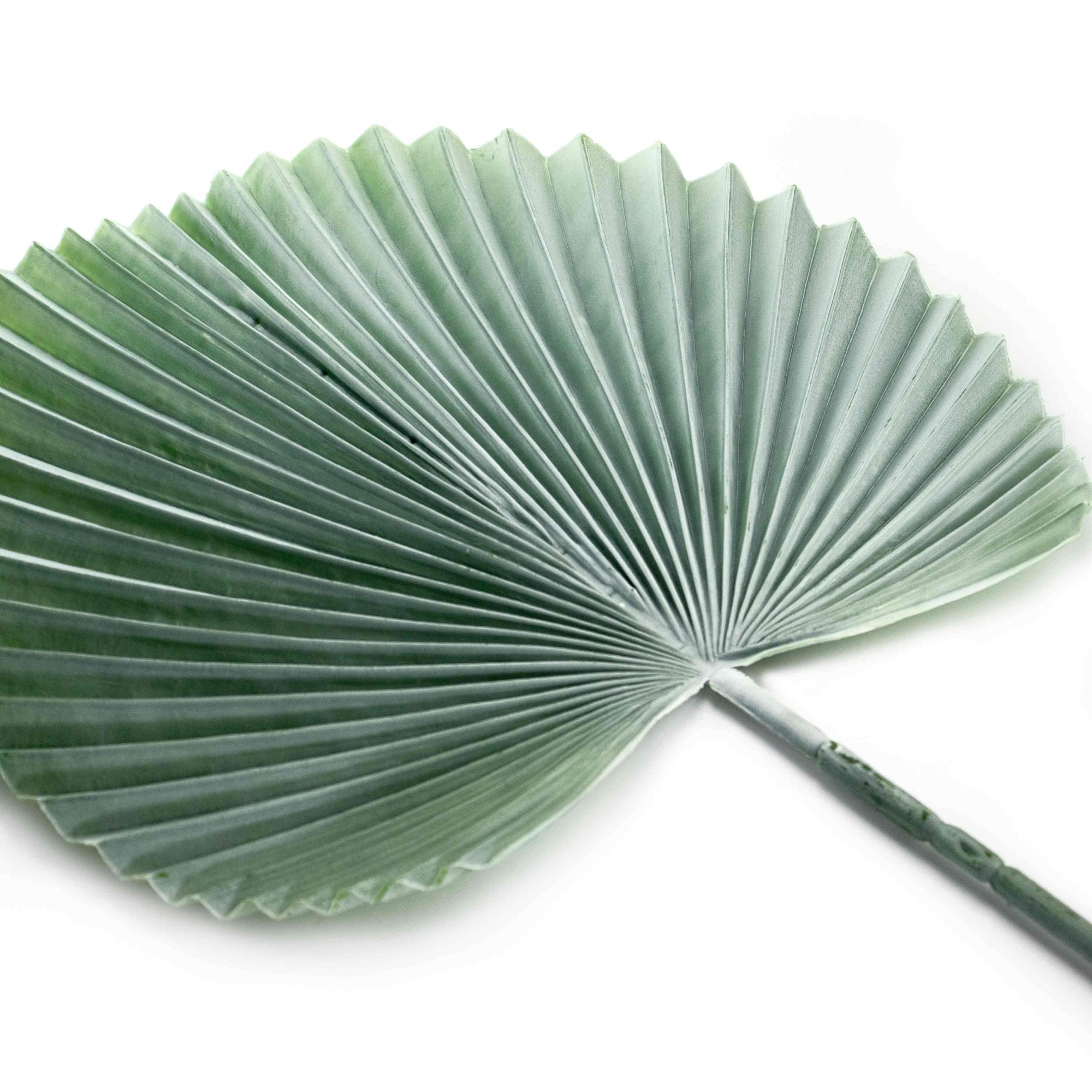 Folha Artificial de Latânia Azul 83 cm - D'Rossi