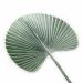 Folha Artificial de Latânia Azul 83 cm - D'Rossi