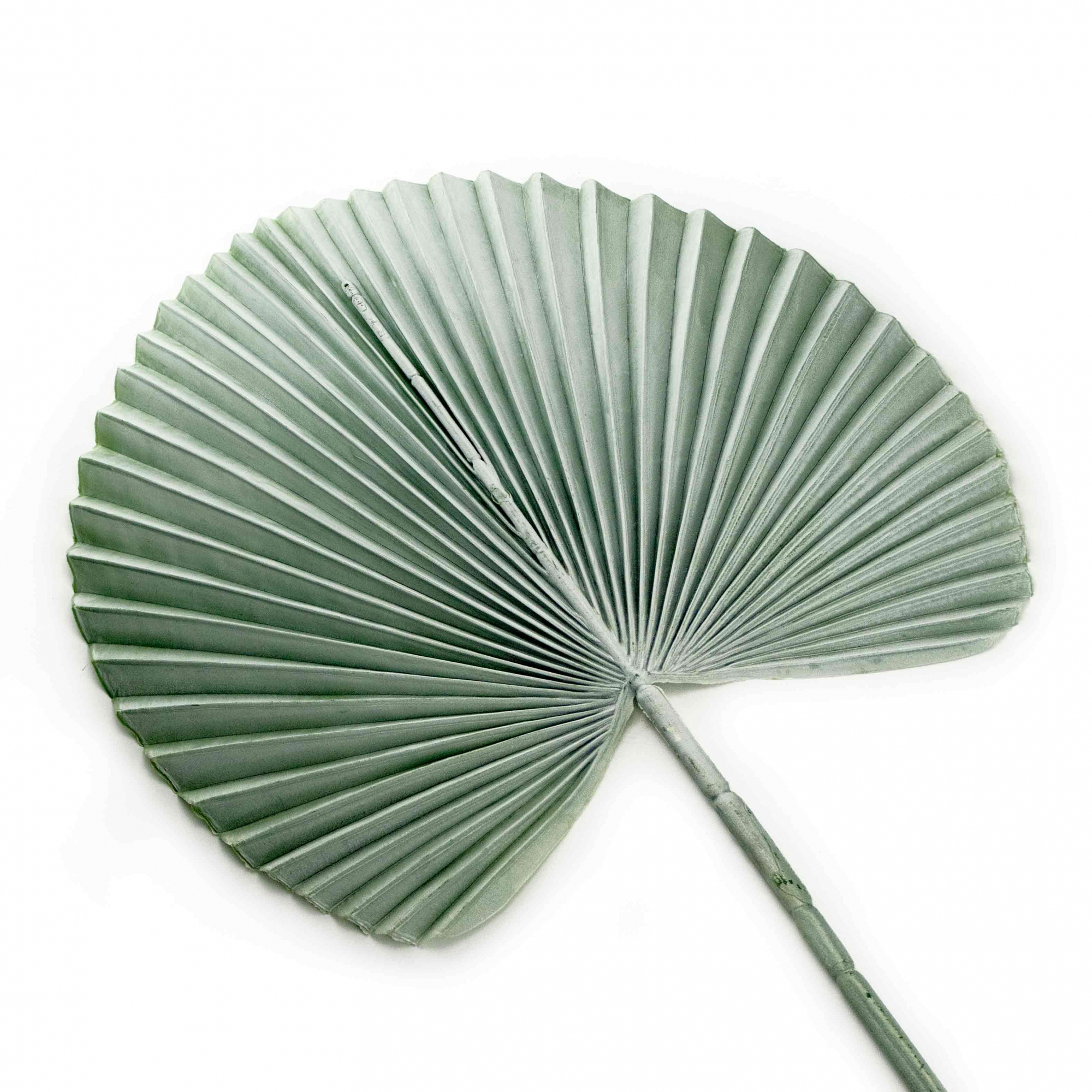 Folha Artificial de Latânia Azul 83 cm - D'Rossi