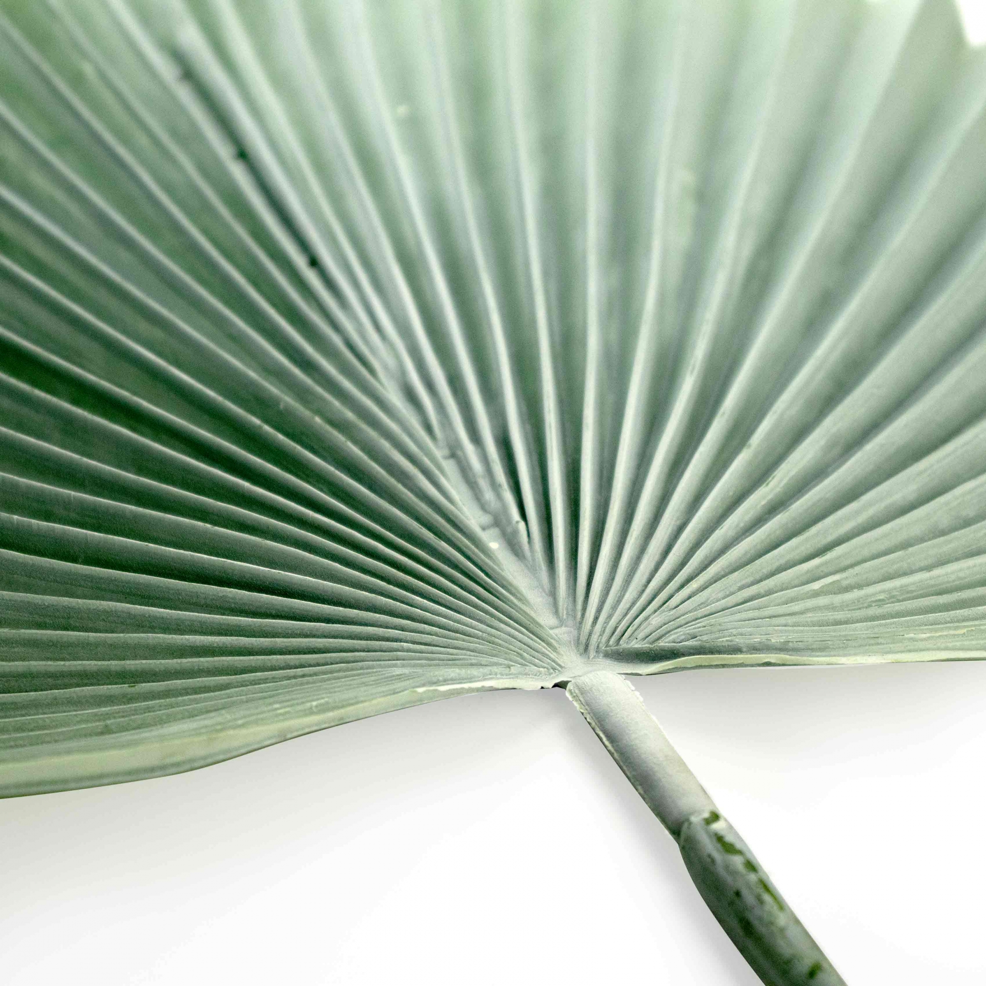 Folha Artificial de Latânia Azul 83 cm - D'Rossi
