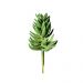 Folhagem Artificial Suculenta 11cm - D'Rossi