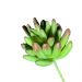 Folhagem Artificial Suculenta 12cm - D'Rossi