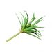 Folhagem Artificial Suculenta 19cm - D'Rossi