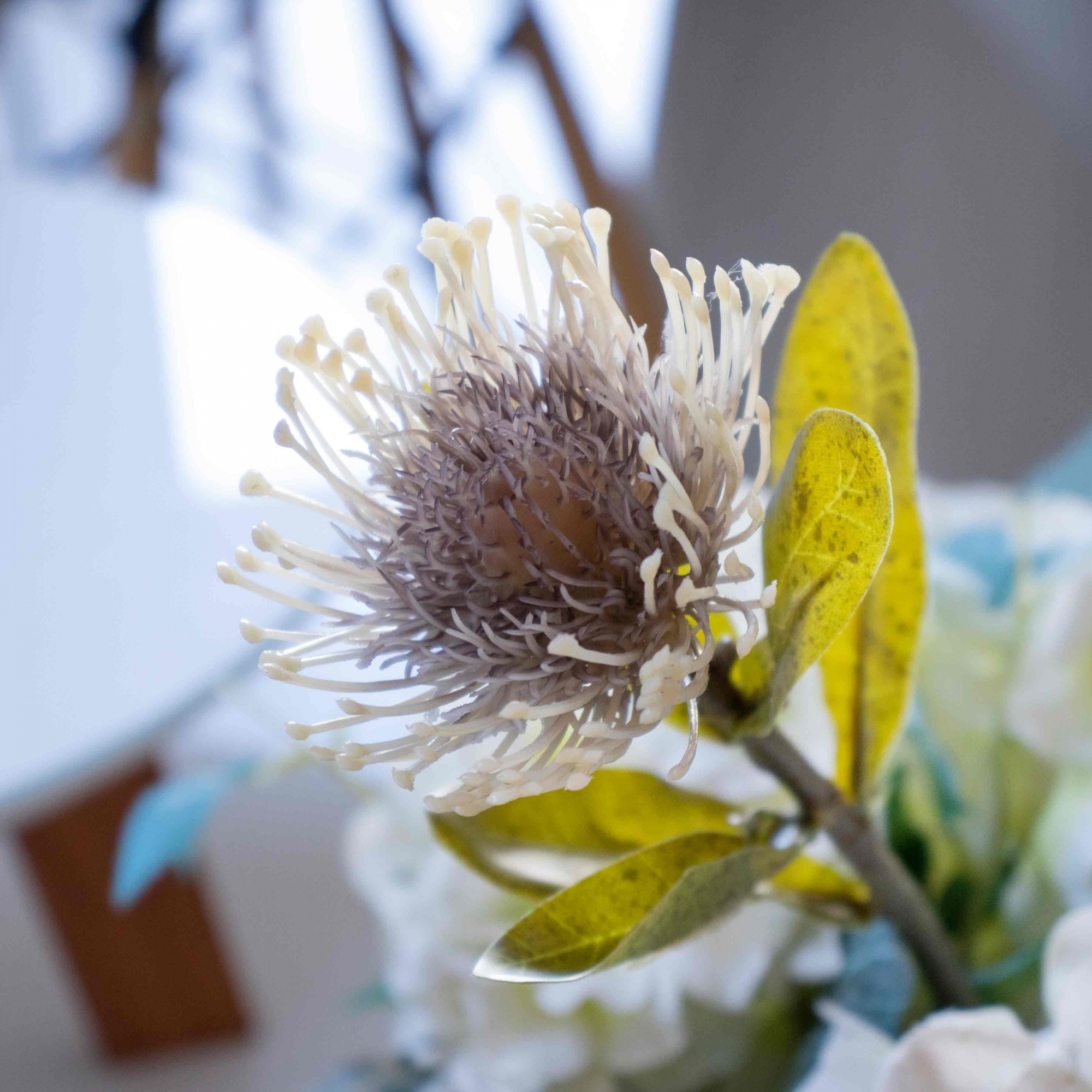 Haste de Flor Artificial Protea Creme Outono 42 cm - D'Rossi